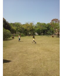 走り回り放題。 | その他