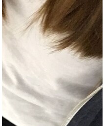 cotton on | Tシャツ/カットソー