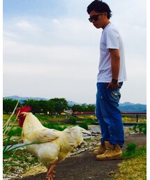 コッコ兄貴 | その他