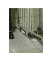 Chippewa | シューズ