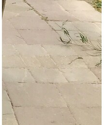 chenjingkaioffice | シューズ