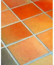 Vivienne Westwood | アナログ腕時計