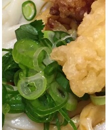 うどん | その他