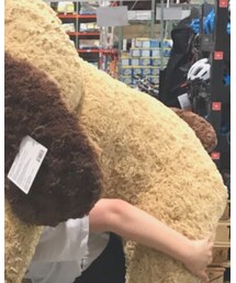 くま | おもちゃ