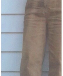 Everlane | チノパンツ