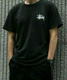 STUSSY | Tシャツ/カットソー