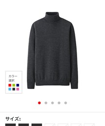 UNIQLO | タートルネック(ニット/セーター)