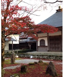 紅葉その1 | その他