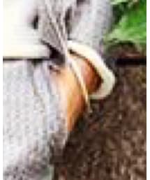 CHROME HEARTS | ブレスレット