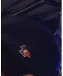 Maison Kitsune | キャップ