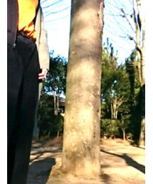 VALENTINO | トップス