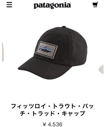 patagonia | キャップ