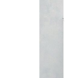 Dickies | サロペット/オーバーオール