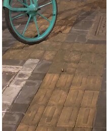 ZARA | デニムパンツ