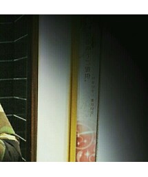 northface | ダウンジャケット/コート