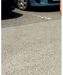 LACOSTE | ポロシャツ