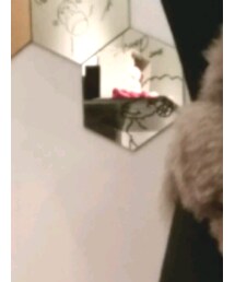 VINTAGE | マフラー