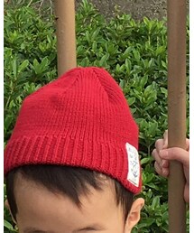 TOMMY HILFIGER | ニットキャップ/ビーニー