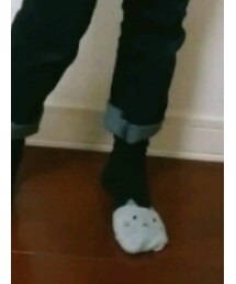 nissen | ソックス/靴下