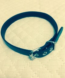 WEGO | ベルトチョーカー(ネックレス)