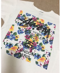 STUSSY | Tシャツ/カットソー