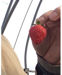 益子産 | その他