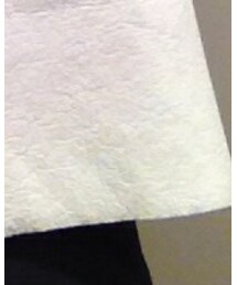 ZARA | その他トップス