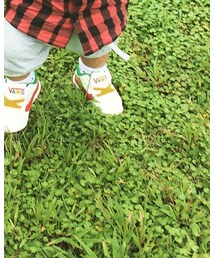 VANS | スニーカー