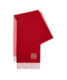 LOEWE | マフラー