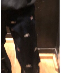 PALACE | その他パンツ