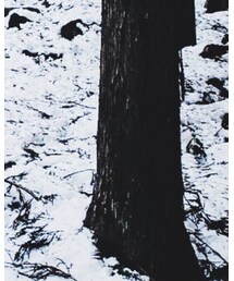 mont-bell | その他パンツ