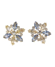 F i.n.t | イヤリング