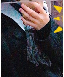 VV | マフラー