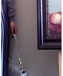 LILY BROWN | スカート