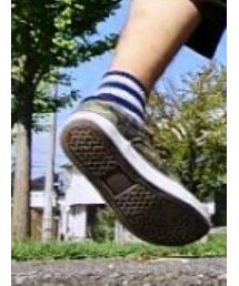 靴下屋 | ソックス/靴下