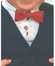 used | 蝶ネクタイ