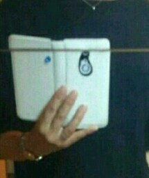 Honeys | Tシャツ/カットソー