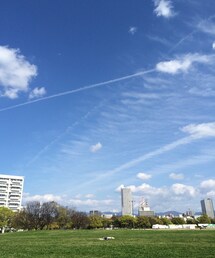 飛行機雲 | 飛行機雲(その他)