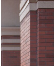 我 | Tシャツ/カットソー