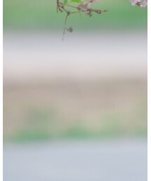 我 | Tシャツ/カットソー