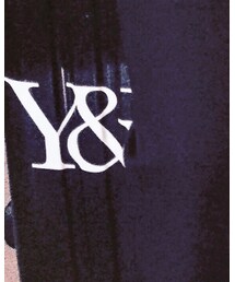 Young & Reckless | その他