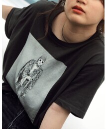 GU | Tシャツ/カットソー