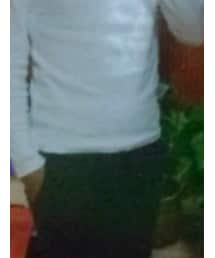 AVILEX | Tシャツ/カットソー