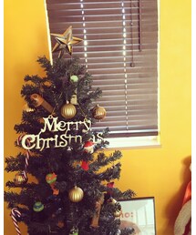 クリスマスツリー出しました🎄 | インテリア