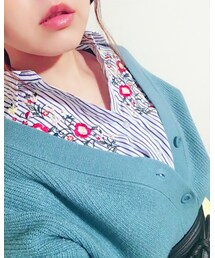 しまむら刺繍ブラウス | その他