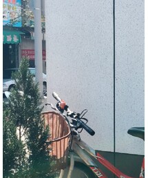 POLO RALPH LAUREN | スカート