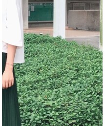 Lulus | スカート