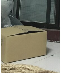 adidas Originals | その他シューズ