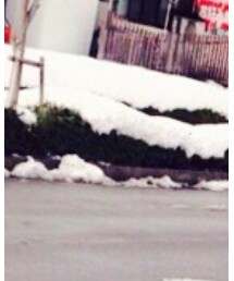 大雪！！！ | その他