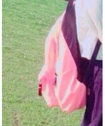 JANSPORT | バックパック/リュック